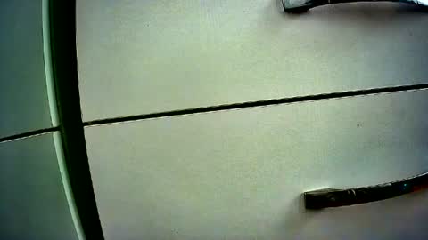 Snapshot of lilylovelyman50 chatting on 3, 8, 2026 lilylovelyman50 online show from 3, 8, 2026