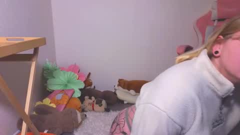 lime cat online show from 18, 10, 2025