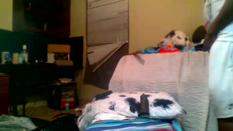 Richie Rich online show from 5, 1, 2025