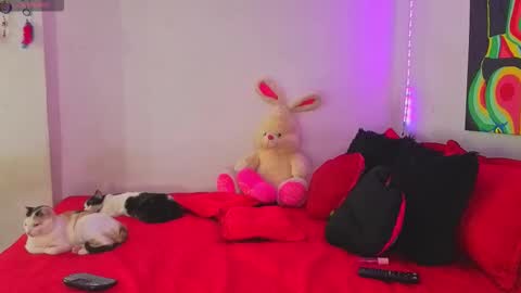 Snapshot of linda_rose28 chatting on 16, 9, 2025 linda_rose28 online show from 16, 9, 2025