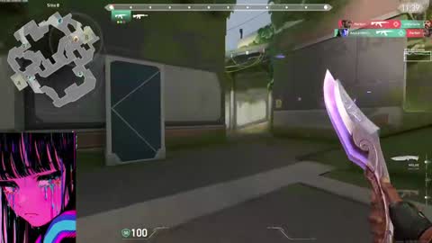 CatalinaANIDEA     online show from 18, 1, 2025