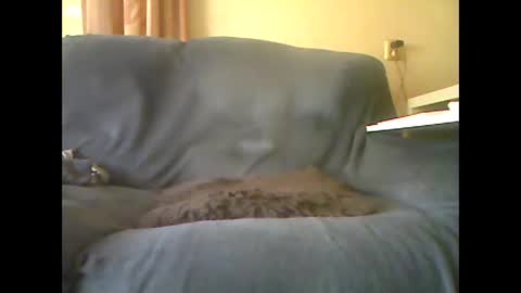 lion160868 online show from 26, 10, 2025