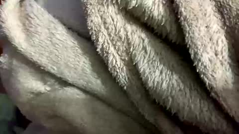 little_sissy_wendy online show from 28, 2, 2025