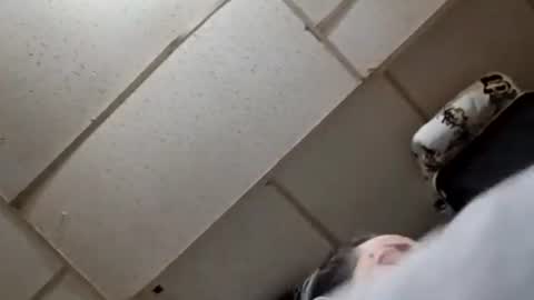 Sady Jayne online show from 28, 3, 2026