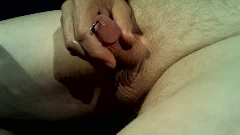 littleed online show from 29, 4, 2026