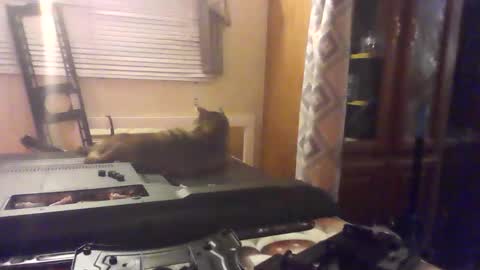 Snapshot of littlegrey376 chatting on 18, 2, 2026 littlegrey376 online show from 18, 2, 2026