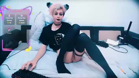Snapshot of littlepinkcat chatting on 20, 6, 2026 Felix online show from 20, 6, 2026