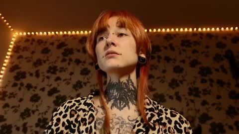 Niki  free tg channel with some photos gifs and info about streams  online show from 3, 2, 2025