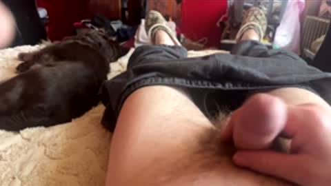 Little Tj online show from 24, 2, 2026