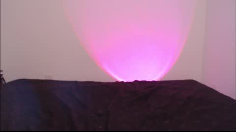 Elizabeth online show from 20, 2, 2026