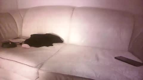 lms_celebi online show from 18, 9, 2025