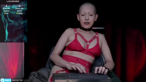 Lynx Mist online show from 14, 12, 2024