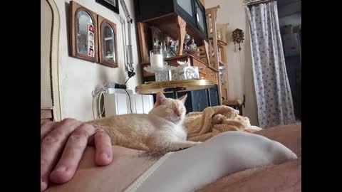 Snapshot of lo82 chatting on 3, 10, 2025 Lo82 online show from 3, 10, 2025