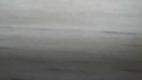 lockedpeepee online show from 8, 1, 2025