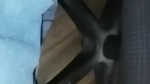 loco_boy007 online show from 16, 2, 2026