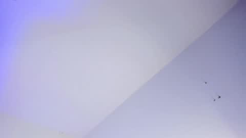 Snapshot of logan_west1 chatting on 16, 10, 2025 Logan online show from 16, 10, 2025