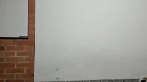 Logan online show from 9, 4, 2026