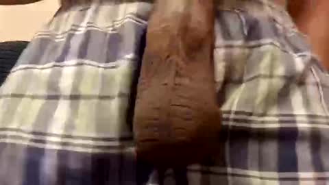 Snapshot of lokeleo chatting on 2, 12, 2025 lokeleo online show from 2, 12, 2025