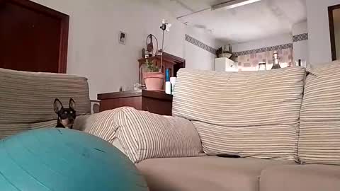 LOLA HUESO y ERIC online show from 17, 10, 2025