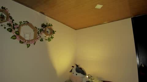 Lola online show from 7, 1, 2026