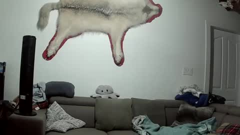 Lola Lixx online show from 9, 10, 2025