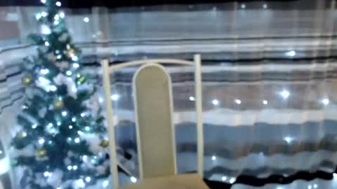 Snapshot of lollifox_1 chatting on 30, 12, 2024 Lisa online show from 30, 12, 2024
