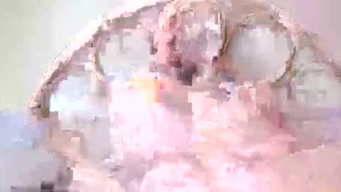 Lolo online show from 10, 3, 2026