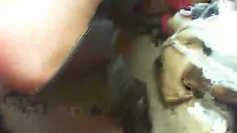 lolote36 online show from 11, 2, 2026