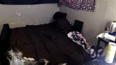 londonray online show from 8, 3, 2026