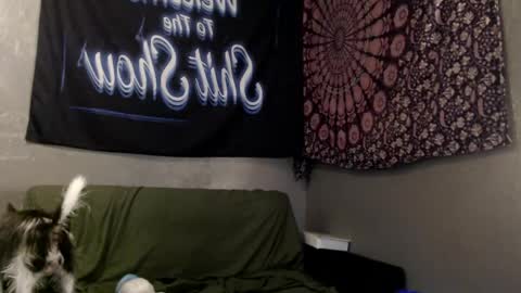 londonray online show from 2, 6, 2026