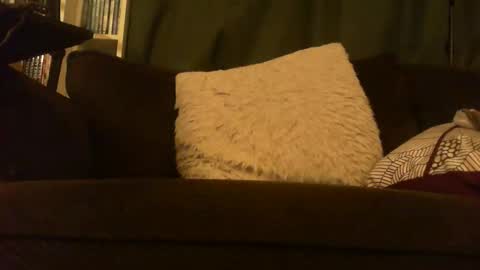 longlorne online show from 12, 2, 2026