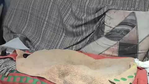 Snapshot of longnight5 chatting on 24, 2, 2025 Alejandro Rulitos Twitter longnight55 Intagram 5longnight5 online show from 24, 2, 2025