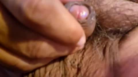 2791 3D online show from 5, 3, 2026