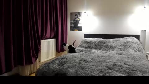 Lora online show from 21, 2, 2025