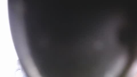 Snapshot of lorex_27 chatting on 9, 7, 2026 lorexxw online show from 9, 7, 2026