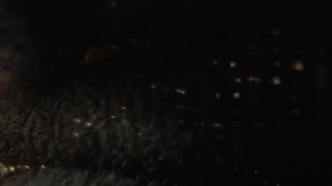 Snapshot of louis_bcasta1 chatting on 22, 1, 2025 OF louis bcasta1 online show from 22, 1, 2025