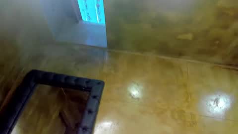 Louis online show from 8, 3, 2025