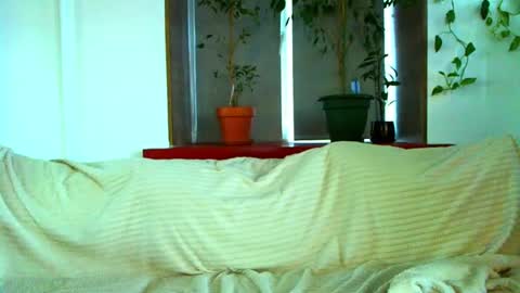 Cute face online show from 16, 12, 2024