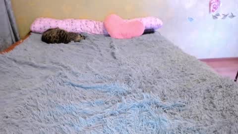 cat-girl online show from 1, 1, 2025