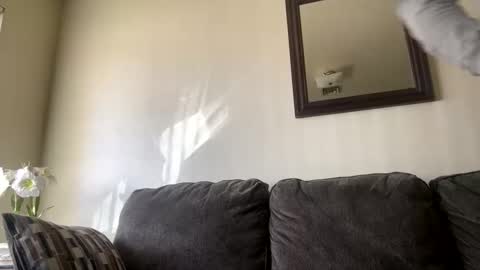 lovecurve_ online show from 4, 3, 2025