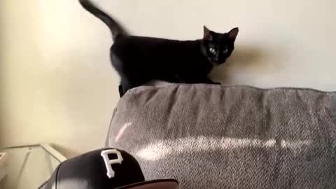 lovecurve_ online show from 7, 3, 2025