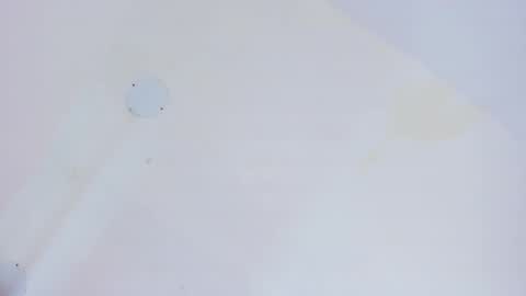 L O V E  online show from 5, 2, 2026