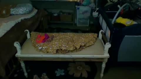 lovetubes101 online show from 19, 9, 2025