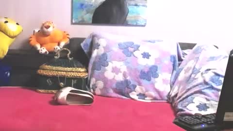 Anna online show from 31, 10, 2025