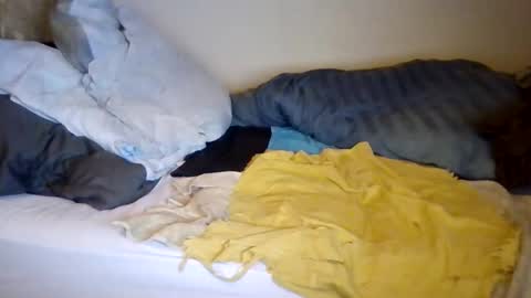 lu485947452685 online show from 19, 12, 2025