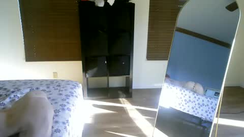 Snapshot of luchamuscles chatting on 5, 12, 2024 luchamuscles online show from 5, 12, 2024