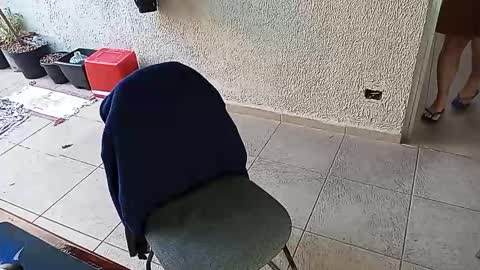 lucifer_curious online show from 24, 10, 2025