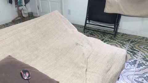 lucifer_curious online show from 5, 1, 2026