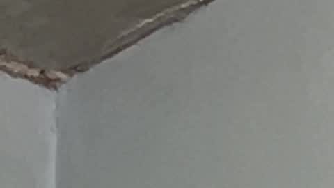 Lucien online show from 17, 9, 2025