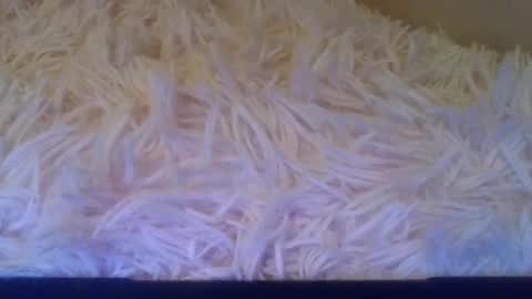 Snapshot of luckmoneylove1012 chatting on 20, 9, 2025 prettybaby1012 online show from 20, 9, 2025